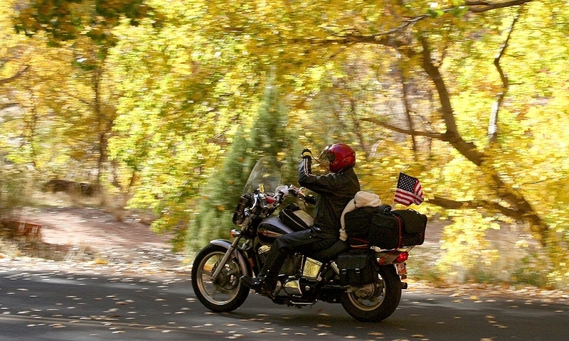 harley-summer-2.jpg